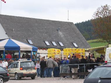 Holiday Apartment in Willingen (Kurhessisches Bergland) or holiday homes and vacation rentals