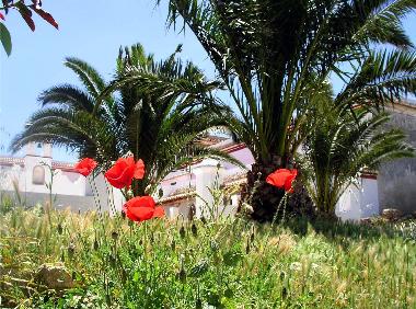 Holiday House in Chiclana (Cdiz) or holiday homes and vacation rentals