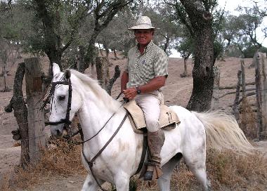 Holiday House in Chiclana (Cdiz) or holiday homes and vacation rentals