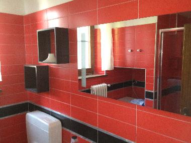 Bed and Breakfast in TAIO (Trento) or holiday homes and vacation rentals