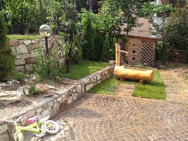 Bed and Breakfast in TAIO (Trento) or holiday homes and vacation rentals