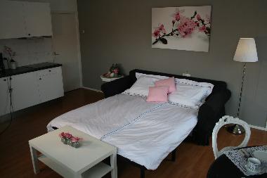 Holiday Apartment in Zandvoort (Noord-Holland) or holiday homes and vacation rentals