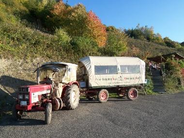 Holiday Apartment in Zell-Mosel (Mosel - Saar) or holiday homes and vacation rentals