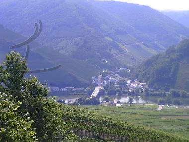 Holiday Apartment in Zell-Mosel (Mosel - Saar) or holiday homes and vacation rentals