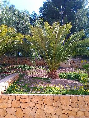 Holiday House in Finestrat  (Alicante / Alacant) or holiday homes and vacation rentals