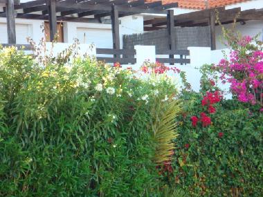 Holiday Apartment in Manilva (M�laga) or holiday homes and vacation rentals