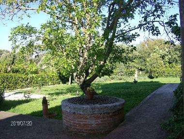 Holiday House in castelnuovo berardenga Siena (Siena) or holiday homes and vacation rentals