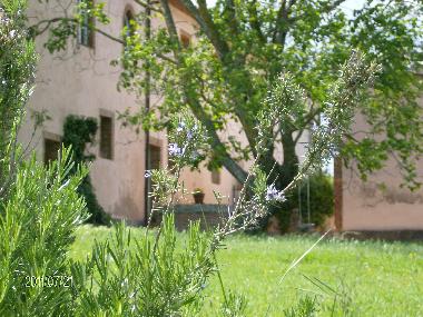 Holiday House in castelnuovo berardenga Siena (Siena) or holiday homes and vacation rentals