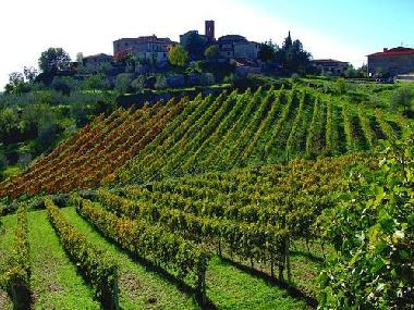 Holiday House in castelnuovo berardenga Siena (Siena) or holiday homes and vacation rentals