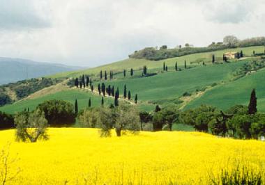 Holiday House in castelnuovo berardenga Siena (Siena) or holiday homes and vacation rentals