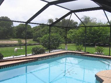 Villa in Punta Gorda (Florida) or holiday homes and vacation rentals