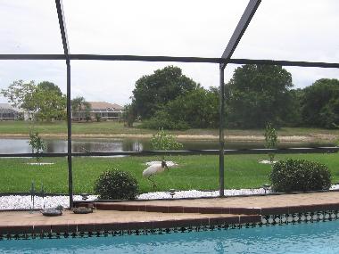 Villa in Punta Gorda (Florida) or holiday homes and vacation rentals