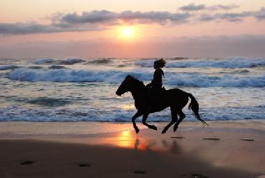 Horse riding in Lake Eland or Oribi Gorge Nature Reserve