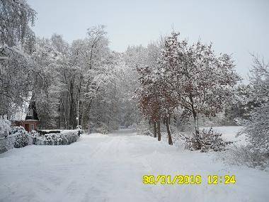 Holiday House in Bleckede (Lneburger Heide) or holiday homes and vacation rentals