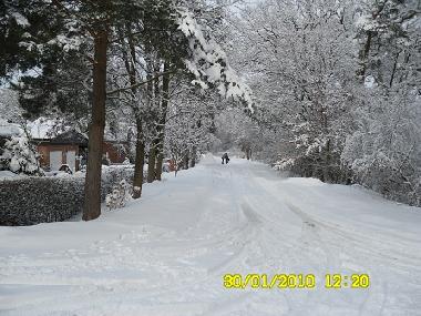 Holiday House in Bleckede (Lneburger Heide) or holiday homes and vacation rentals