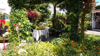 Holiday House in Vila Praia de ncora (Norte) or holiday homes and vacation rentals