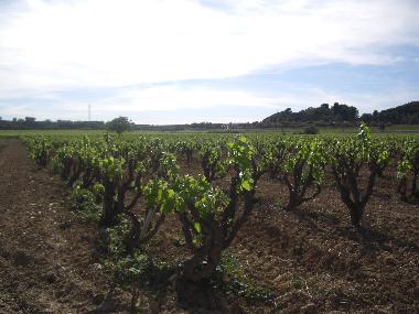 Holiday House in Les Masuques (Barcelona) or holiday homes and vacation rentals