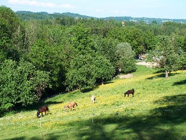 Holiday House in Windorf-Frauendorf b. Passau (Lower Bavaria) or holiday homes and vacation rentals