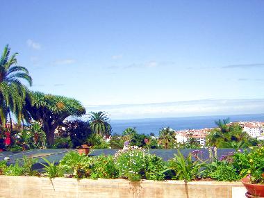 Villa in Puerto de la Cruz (Teneriffa) or holiday homes and vacation rentals