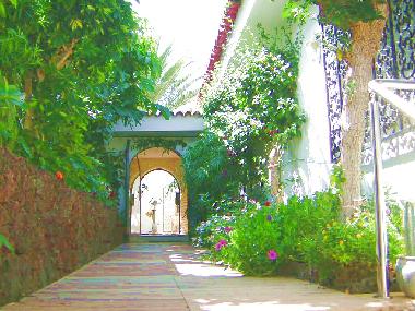 Villa in Puerto de la Cruz (Teneriffa) or holiday homes and vacation rentals