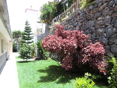 Villa in La Matanz (Teneriffa) or holiday homes and vacation rentals
