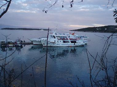 Holiday House in AMALIAPOLI -MITZELA (Magnisia) or holiday homes and vacation rentals