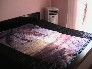 Holiday Apartment in Paralia dionissiou (Chalkidiki) or holiday homes and vacation rentals