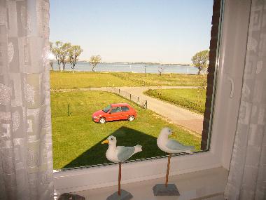 Holiday Apartment in Wiek (Ostsee-Inseln) or holiday homes and vacation rentals