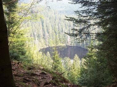 Holiday Apartment in Bad-Rippoldsau (Black Forest) or holiday homes and vacation rentals