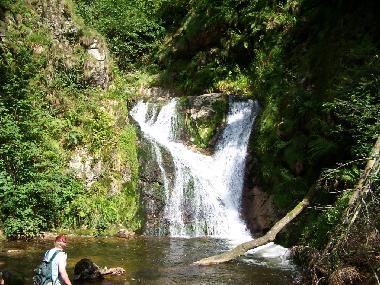Holiday Apartment in Bad-Rippoldsau (Black Forest) or holiday homes and vacation rentals