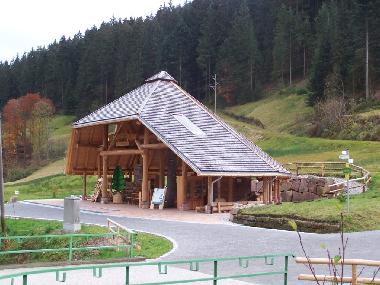 Holiday Apartment in Bad-Rippoldsau (Black Forest) or holiday homes and vacation rentals