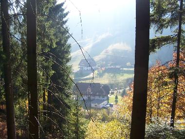 Holiday Apartment in Bad-Rippoldsau (Black Forest) or holiday homes and vacation rentals