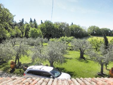 front lawn seen from the twin bedroom