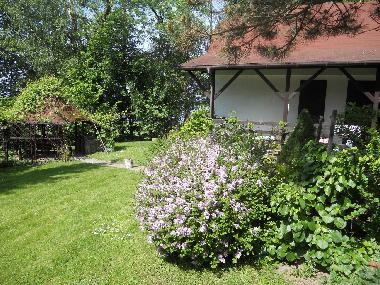 Holiday House in Ransk (Warminsko-Mazurskie) or holiday homes and vacation rentals