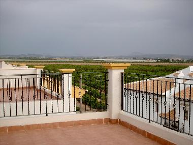 View from solarium at orange groves and mountains