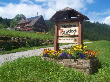 Holiday Apartment in Bad-Rippoldsau (Black Forest) or holiday homes and vacation rentals