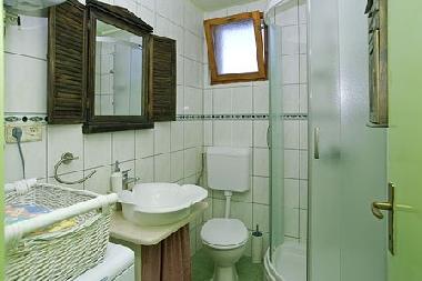 Holiday House in Racisce (Dubrovacko-Neretvanska) or holiday homes and vacation rentals