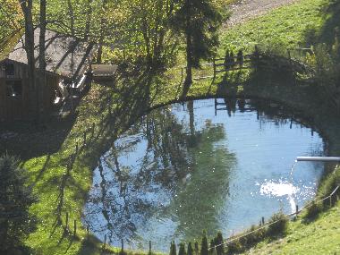 Holiday Apartment in Tschagguns (Bludenz-Bregenzer Wald) or holiday homes and vacation rentals