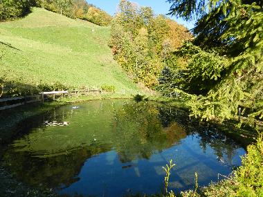 Holiday Apartment in Tschagguns (Bludenz-Bregenzer Wald) or holiday homes and vacation rentals