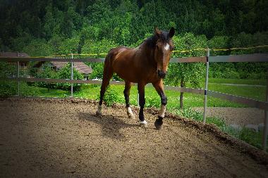 Holiday Apartment in Tschagguns (Bludenz-Bregenzer Wald) or holiday homes and vacation rentals