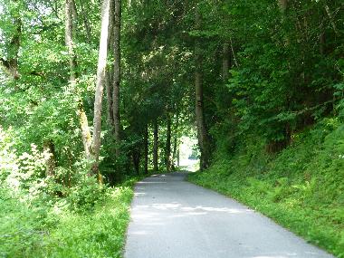 Holiday Apartment in Tschagguns (Bludenz-Bregenzer Wald) or holiday homes and vacation rentals