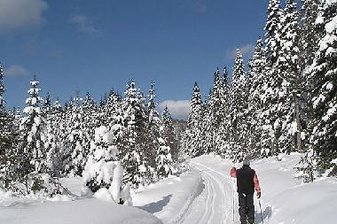 Holiday House in Saint-Scholastique (Quebec) or holiday homes and vacation rentals