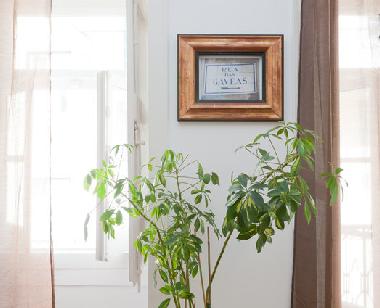 Holiday Apartment in Lisbon (Grande Lisboa) or holiday homes and vacation rentals