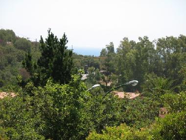 VIEW FROM THE TERRACE