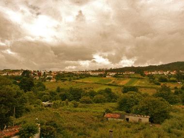 you open the window and..