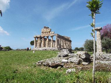 Bed and Breakfast in PAESTUM (Salerno) or holiday homes and vacation rentals