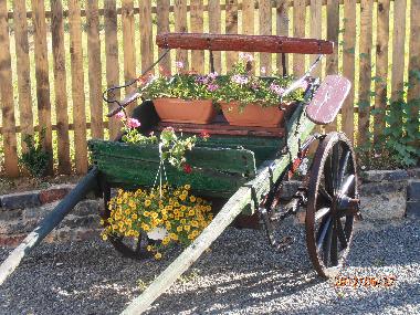 Holiday House in Somova (Tulcea) or holiday homes and vacation rentals