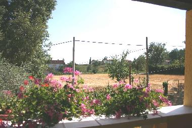 Holiday House in Zminj (Istarska) or holiday homes and vacation rentals