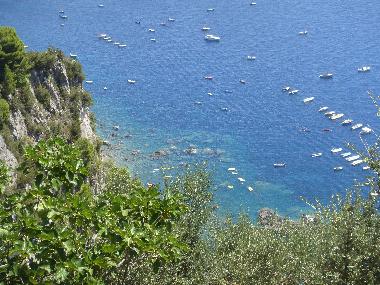 Holiday House in Massalubrense (Napoli) or holiday homes and vacation rentals