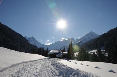 Holiday Apartment in Gaschurn (Bludenz-Bregenzer Wald) or holiday homes and vacation rentals